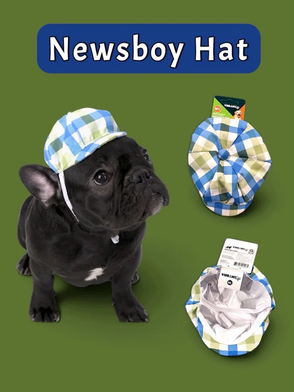 Vibrant Life Plaid Newsboy Hat